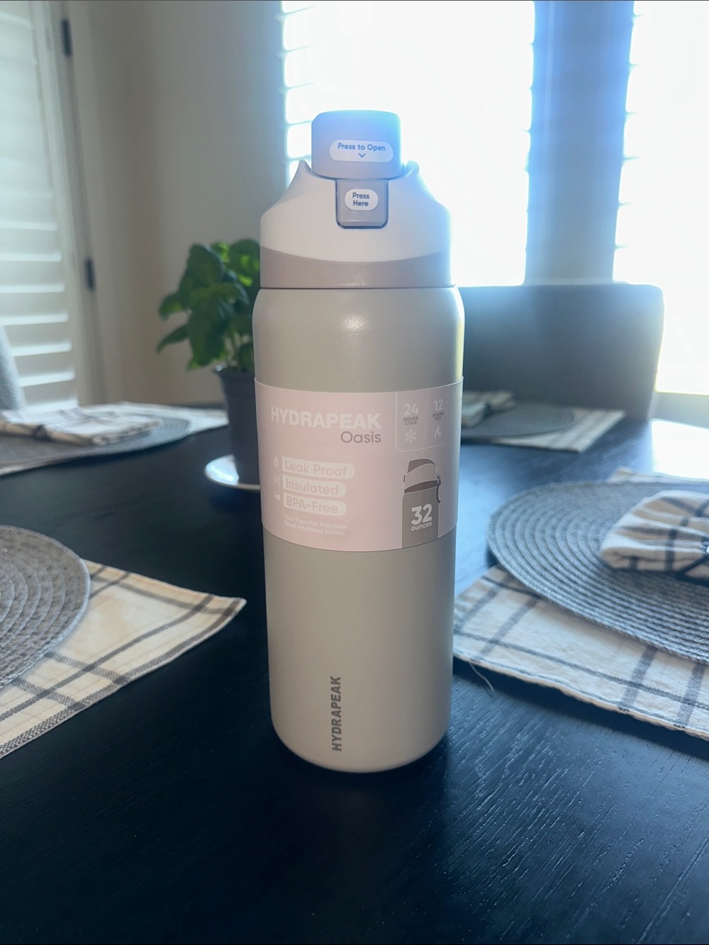 Hydrapeak Oasis 32oz Insulated Water Bottle - Sage